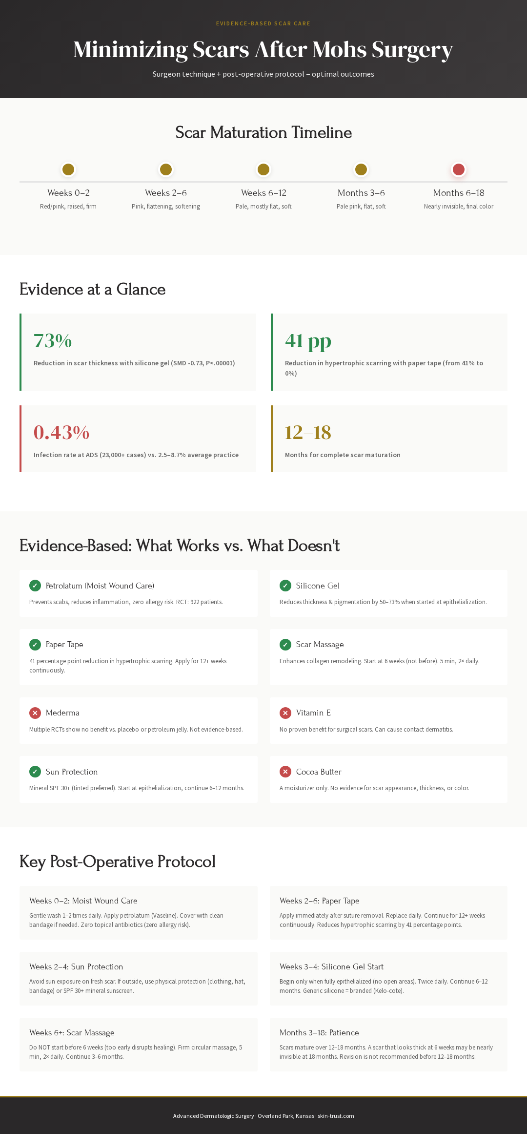 Infographic: Scar Minimization Timeline - 5 phases from weeks 0-2 through months 6-18, evidence showing 73% reduction in scar thickness with silicone gel and 41 percentage point reduction in hypertrophic scarring with paper tape, comparison chart of evidence-based interventions vs. ineffective products