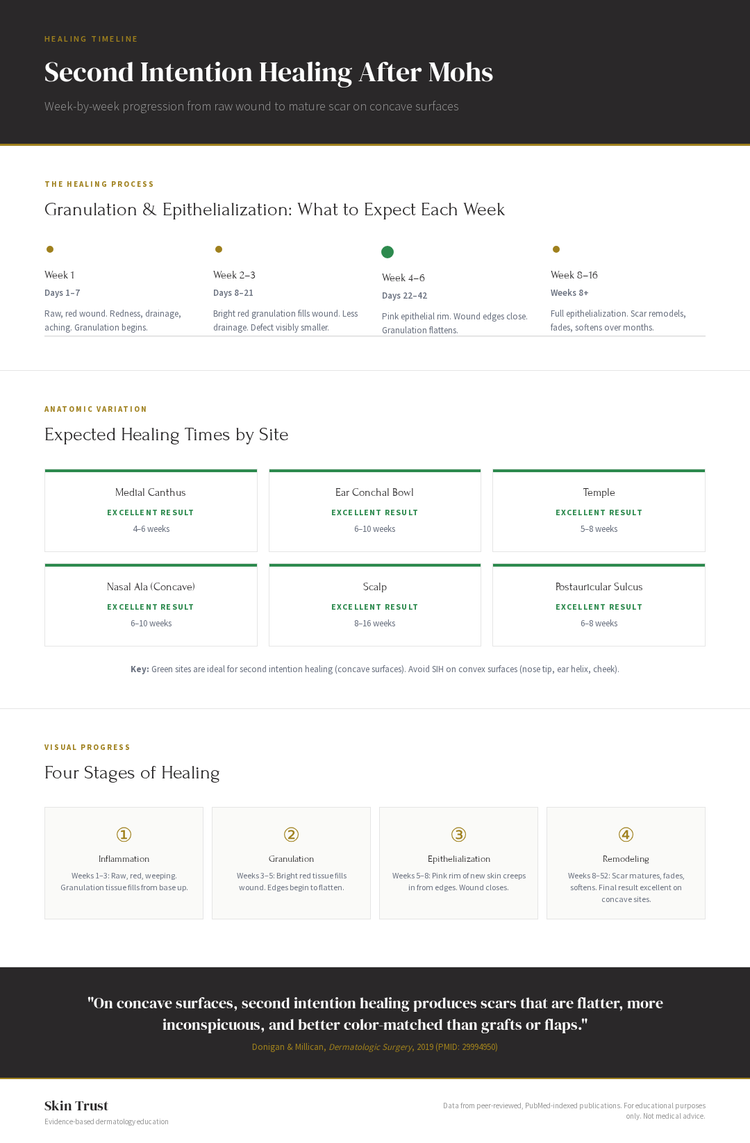 Infographic: Second intention healing timeline showing four stages of granulation and epithelialization, healing times by anatomic site (medial canthus 4-6 weeks, ear 6-10 weeks, temple 5-8 weeks, scalp 8-16 weeks)